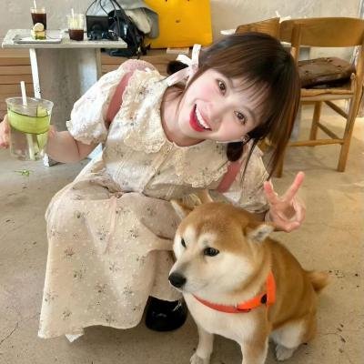 狐狸之声国语
