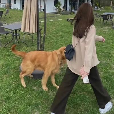 田间的少年 第二季